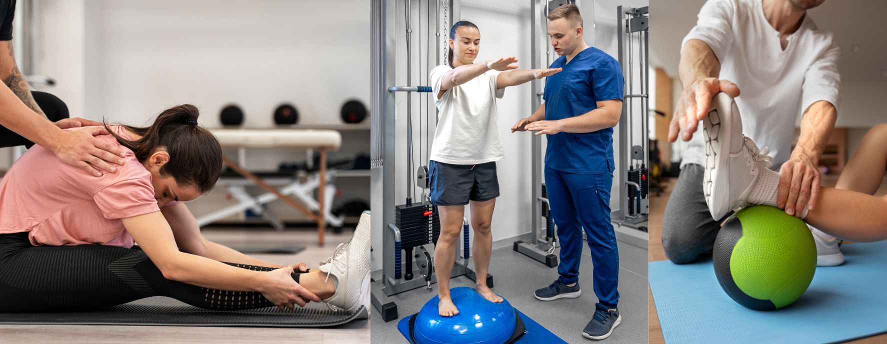 Physio 3